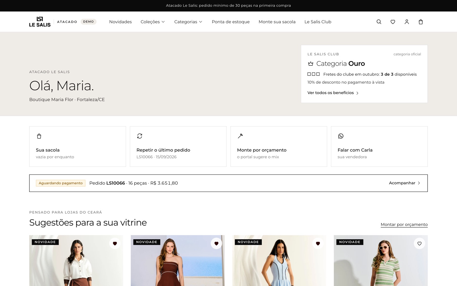 Portal de pedidos: início do lojista
